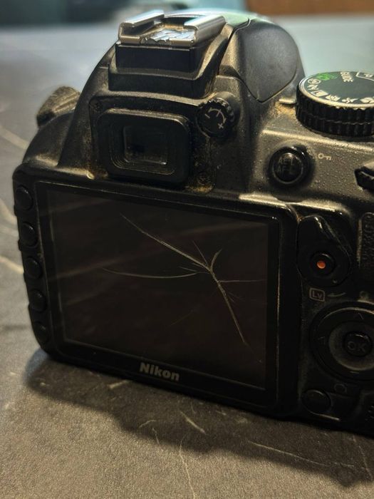 Фотоаппарат Nikon D3100