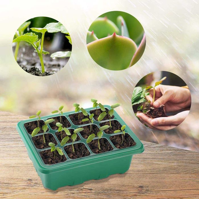 Bandejas de germinação 5 peças 60 células bandeja sementes