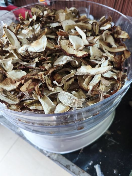 Prawdziwki PREMIUM borowik szlachetny