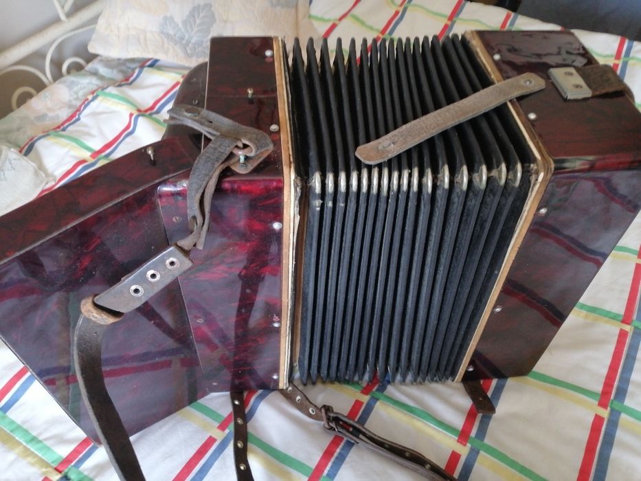 Acordeon. Acordeão