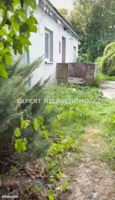 Okazja !Dom na dużej działce o pow.1.2400 Ha