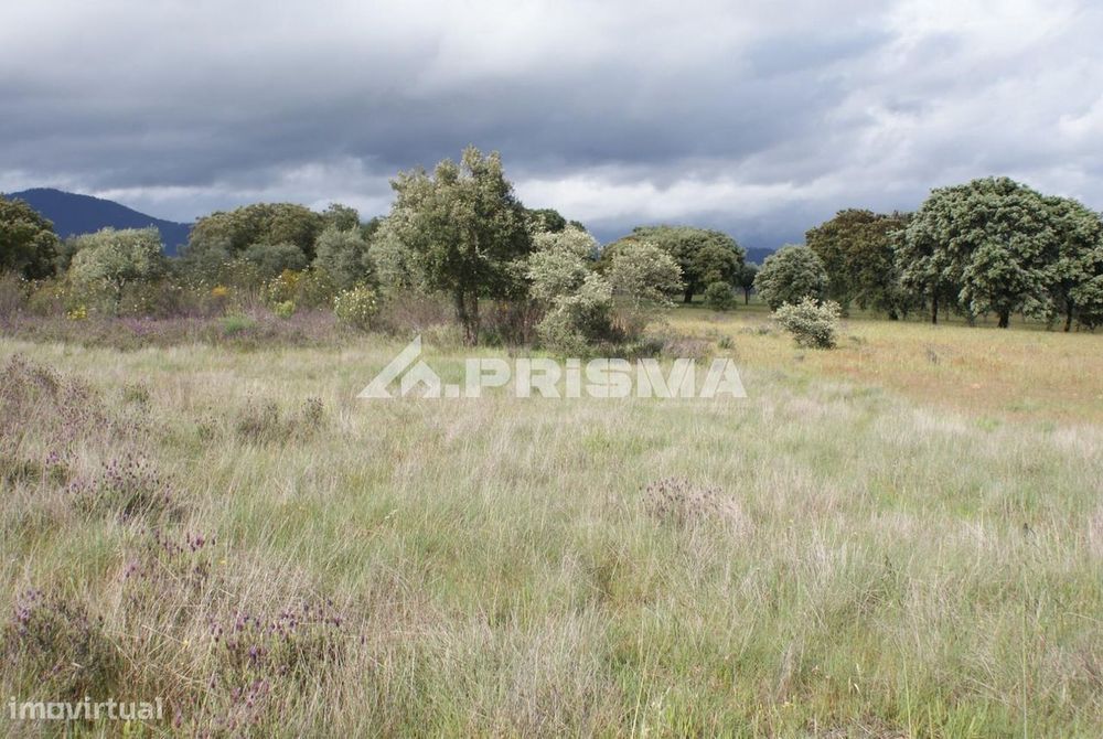 Execelente terreno para Venda em Monfortinho — Monfortinho E Salvaterra Do Extremo, Castelo Branco