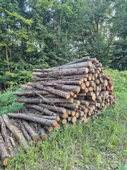 Stemple swierkowe modrzewiowe słupki