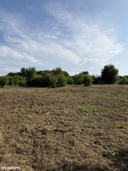 Wyjątkowa działka nad morzem 1 819 m² blisko plaży i Kołobrzegu