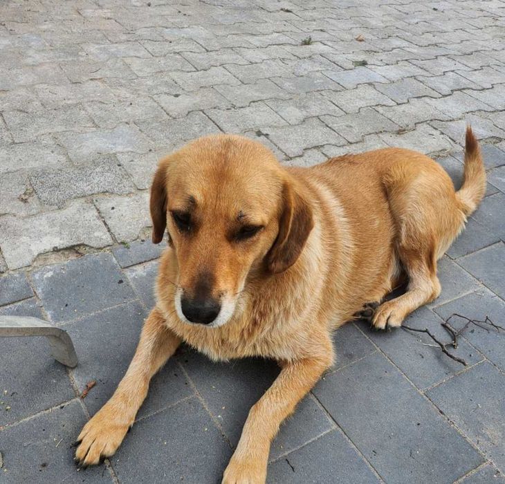 Nora oaza spokoju bardzo zrównoważona .