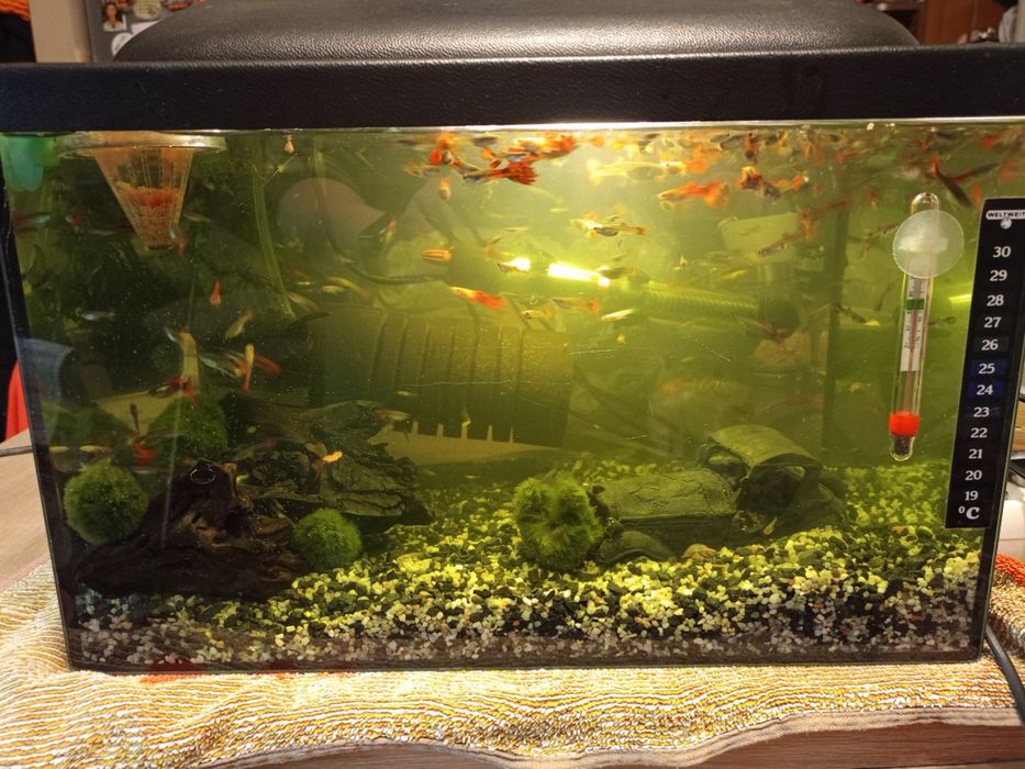 Akwarium profilowane  120 l plus drugie 60 litrów