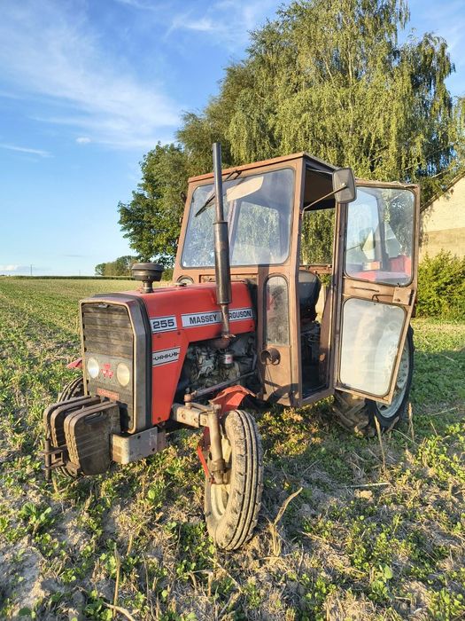 Massey Ferguson 255