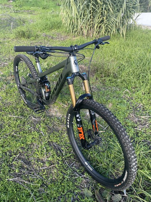 Pivot firebird 2024