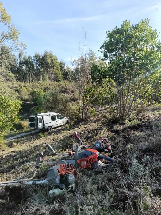 Limpezas Florestais, jardinagem