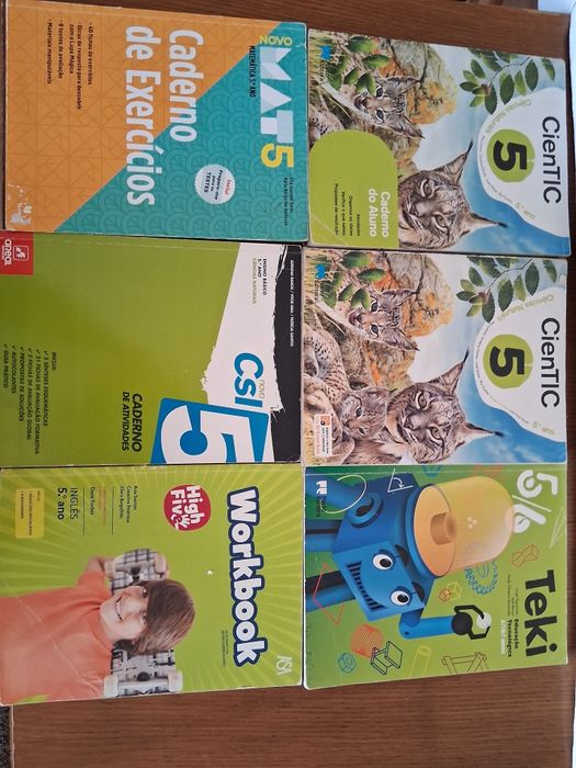 Livros escolares 5º ano
