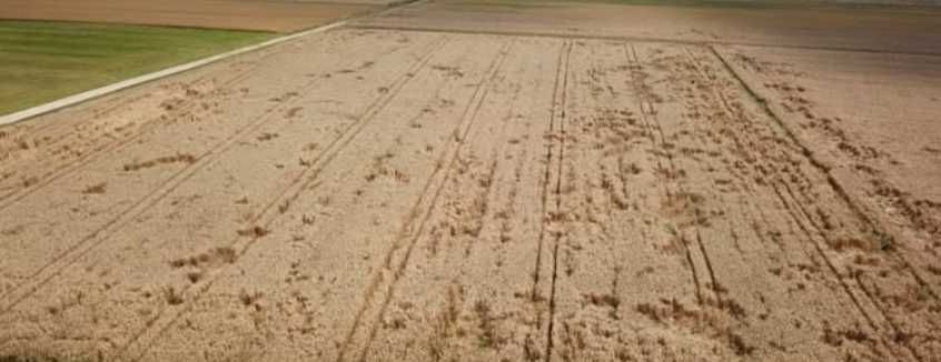 Usługi dronem – inspekcje, termowizja, monitoring