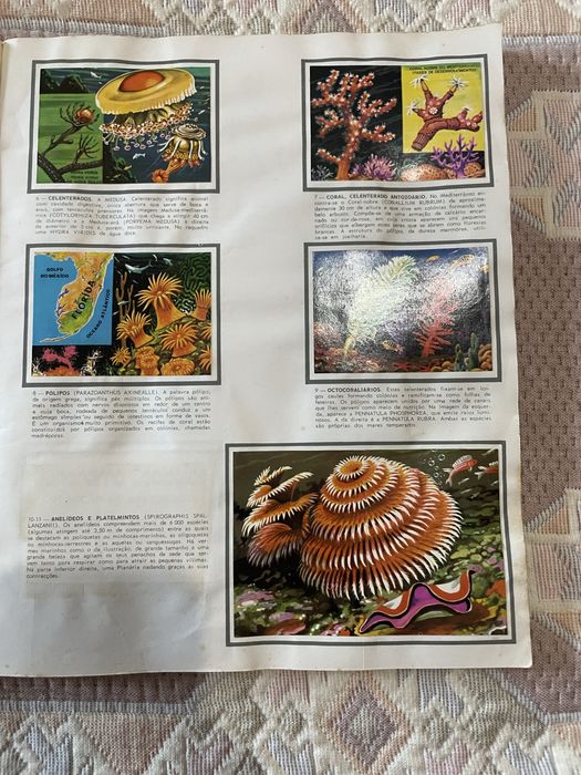 Caderneta de cromos completa Panorama zoológico