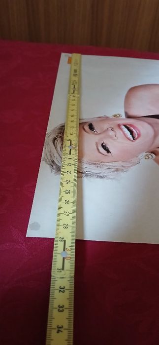 Poster Pink/Brenda Song