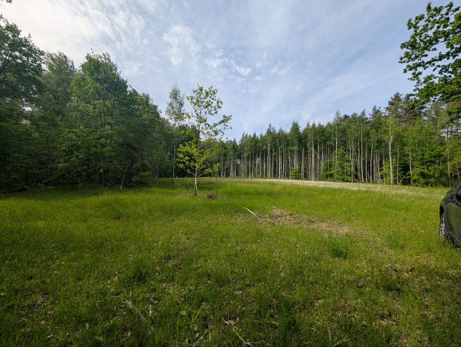 Działka  6500 m² – warunki zabudowy  Patryki