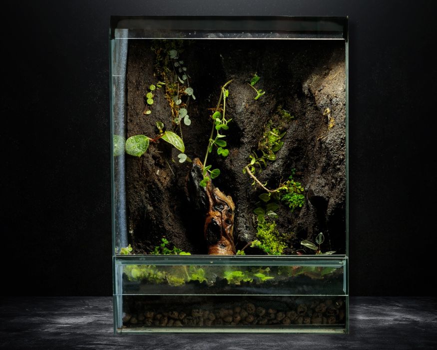 Terrarium tropikalne 40x40x60