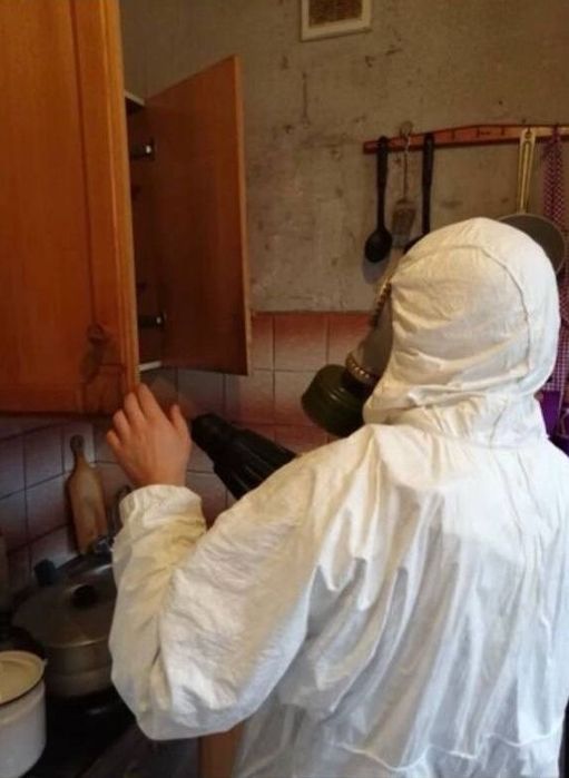 Дератизация травля крыс Травля клопов и тараканов холодным туманом