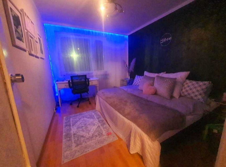 Pokój dla 1 studentki (małe zwierzaki Ok)