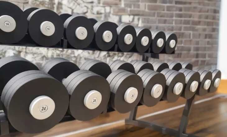 Т56 Гантели Металлические наборные Гантелі 12-100 кг silver Диск 3 кг!