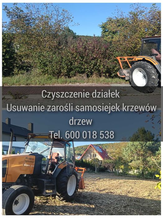 Czyszczenie działek budowlanych karczowaniem usuwanie zarośli