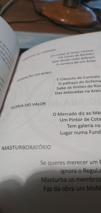 Livro " Poemas de Megafone"