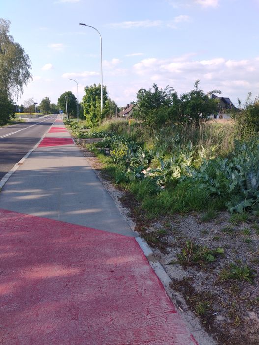 Sprzedam działkę w Bychawce Trzeciej