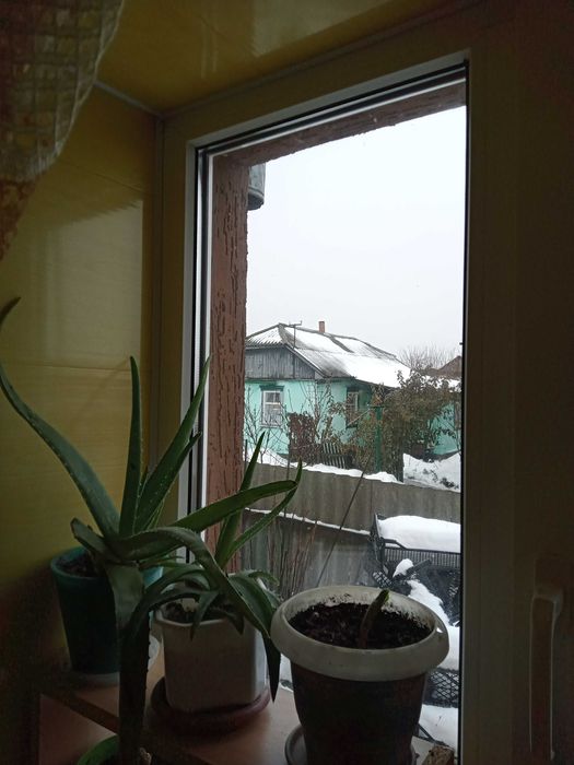 Корейский бинокль HANIMEX 8х40.