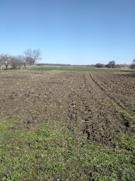 Продам будинок в селі Тополі Козелецького району Чернігівської області