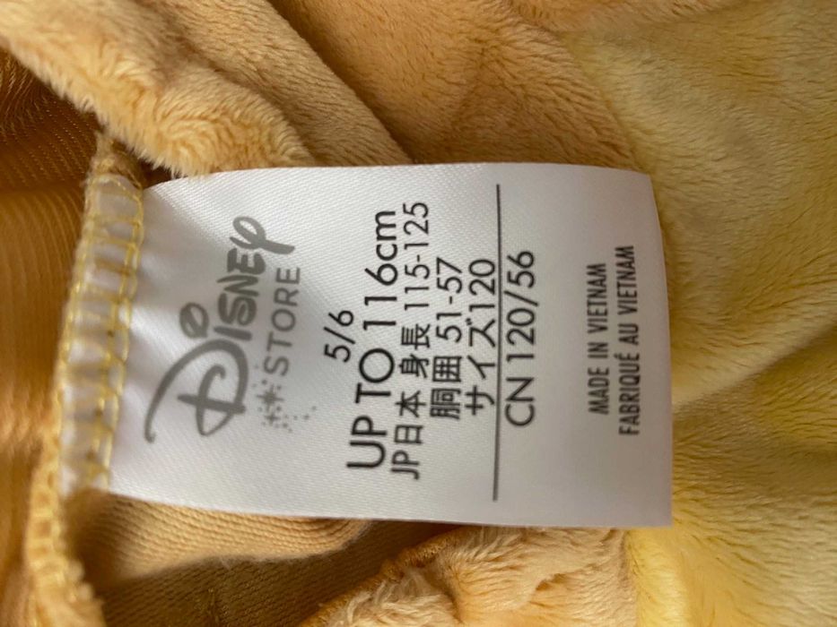 Fato Carnaval - Rei Leão - Disney