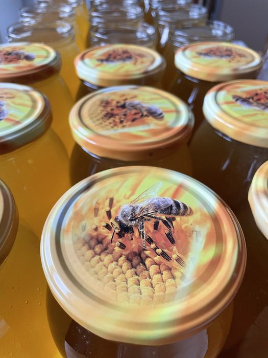 Miód na sprzedaż, ceny podane w opisie