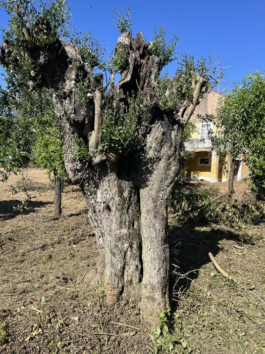 Lote de terreno super bem localizado a bom preço