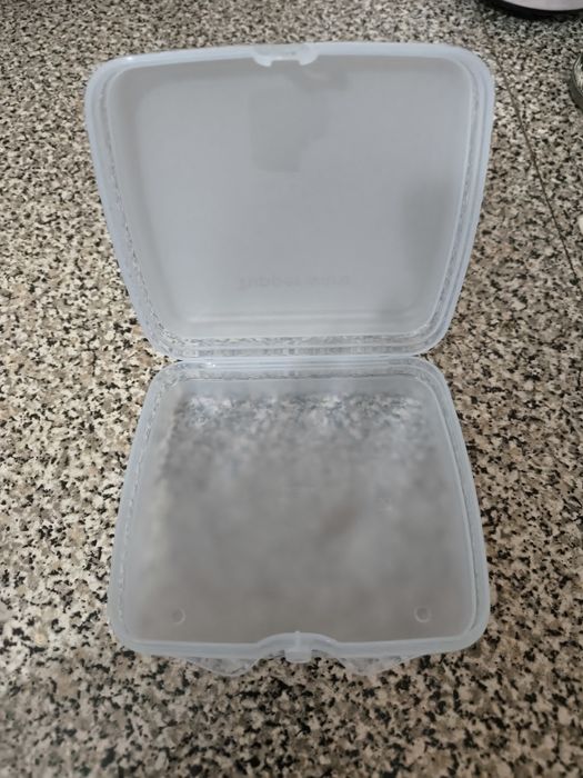 Lancheira tupperware