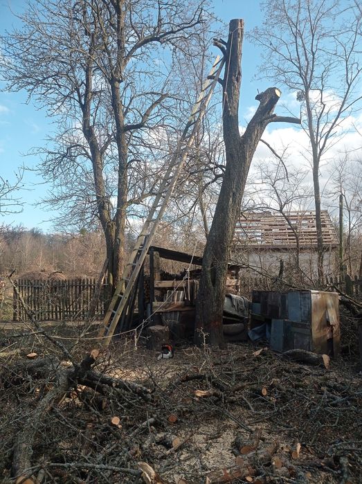 Спилювання дерев та косіння трави.