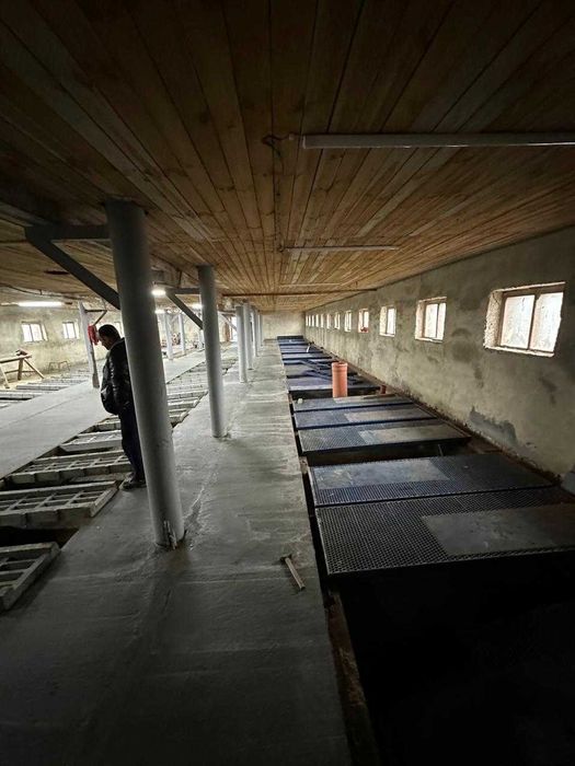 Ферма, господарські будівлі та споруди