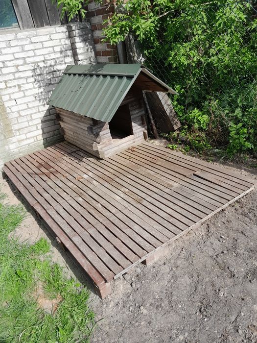 Buda dla psa i podłoga zapraszam