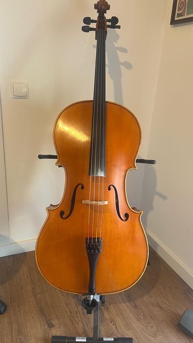 Violoncelo profissional