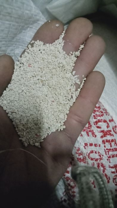 Areão de coral novo