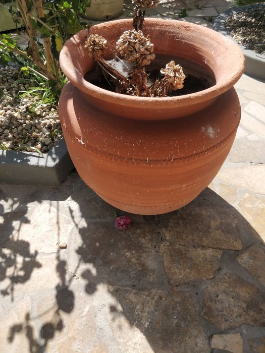 Vasos de cimento e barro grandes