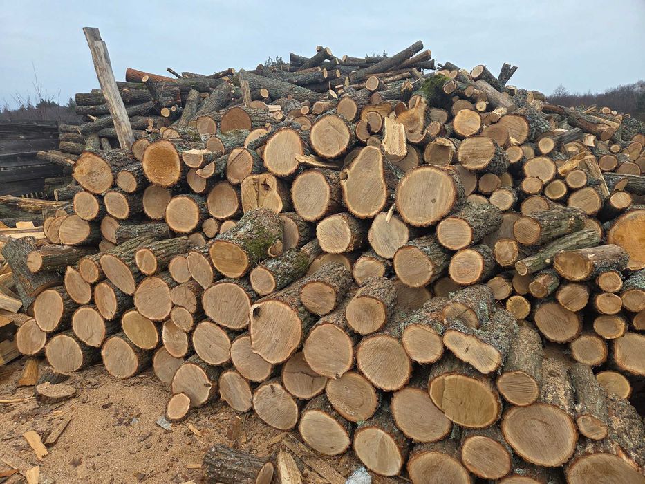 Дрова. Сосна, Дуб  , Береза