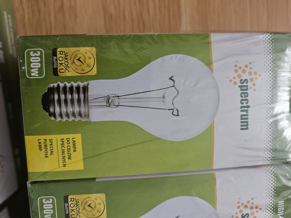 Żarówka E40 wysokowatowa 300w