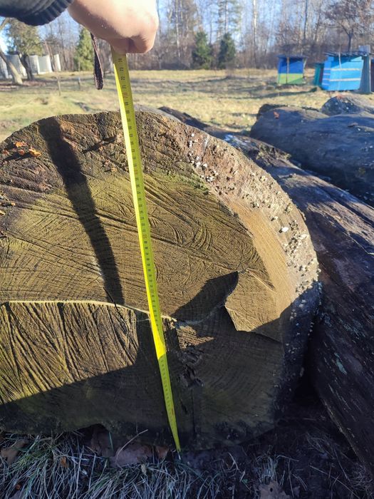 Кругляк дуба, пиломатеріали.