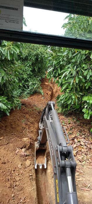 Serviços de trator/giratória - Limpeza de terrenos, jardins