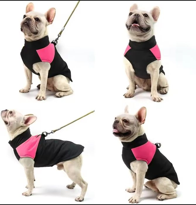 Костюм AdiDog, Шлейка . дождевик . Жилетка, Рулетка ,диск Trixi