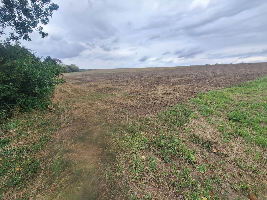 Dzialka nad jeziorem z linia brzegową - Widok 3