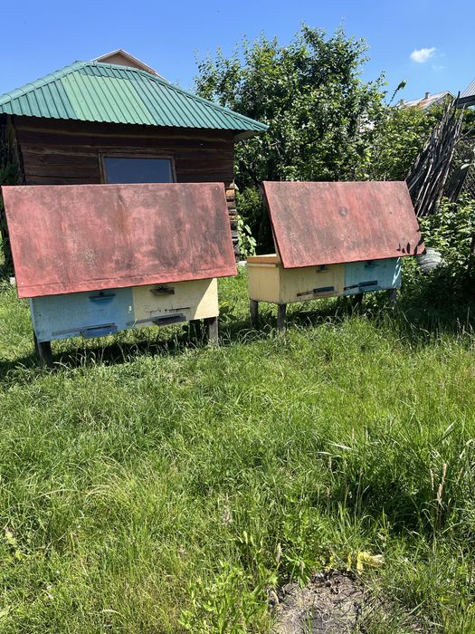 Продам 2 Вулика, 22 рамки кожен