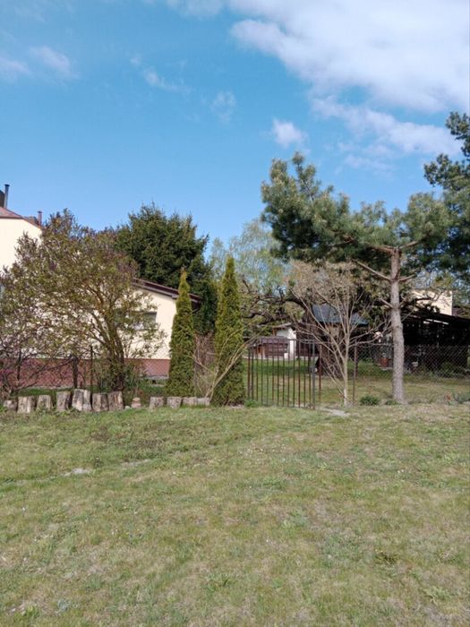 Dom z działką i budynkami gospodarczymi