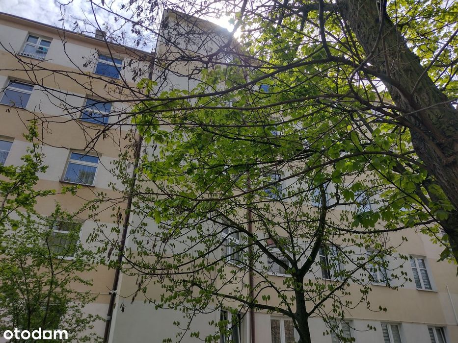 Rejon Placu Hallera