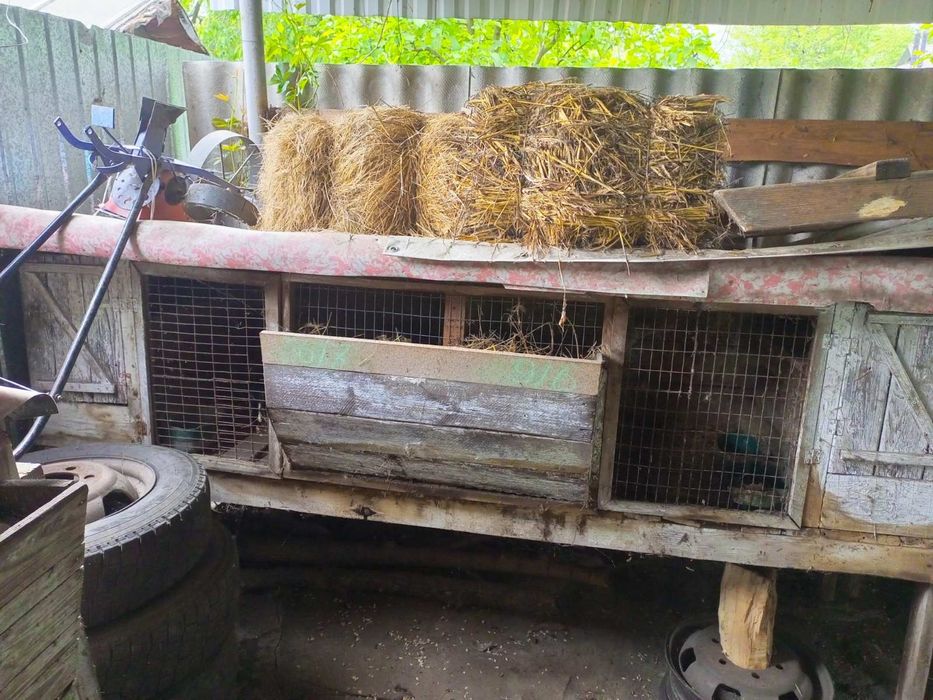 Продам клетки для кроликов