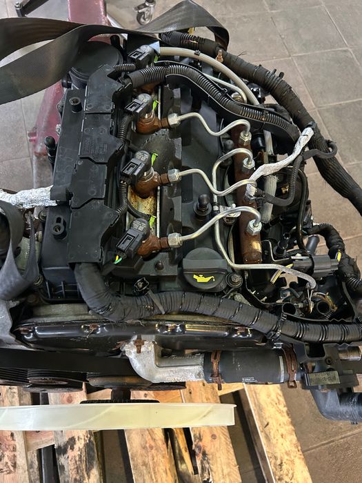 Silnik używany Ford Transit 2016 2.2 euro 5 rwd 155 koni napęd tył