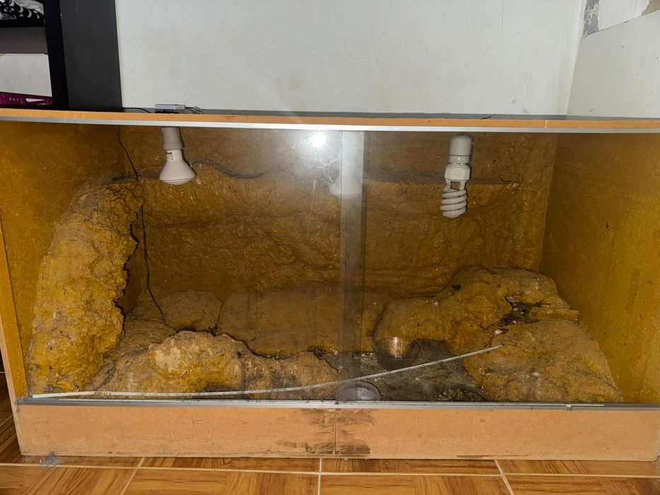 Terrario para repteis