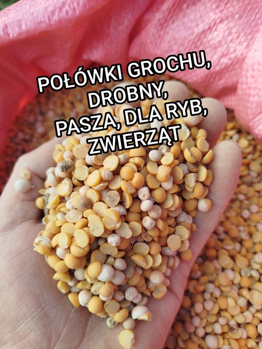 Połówki grochu drobny groch dla zwierząt pasza karma